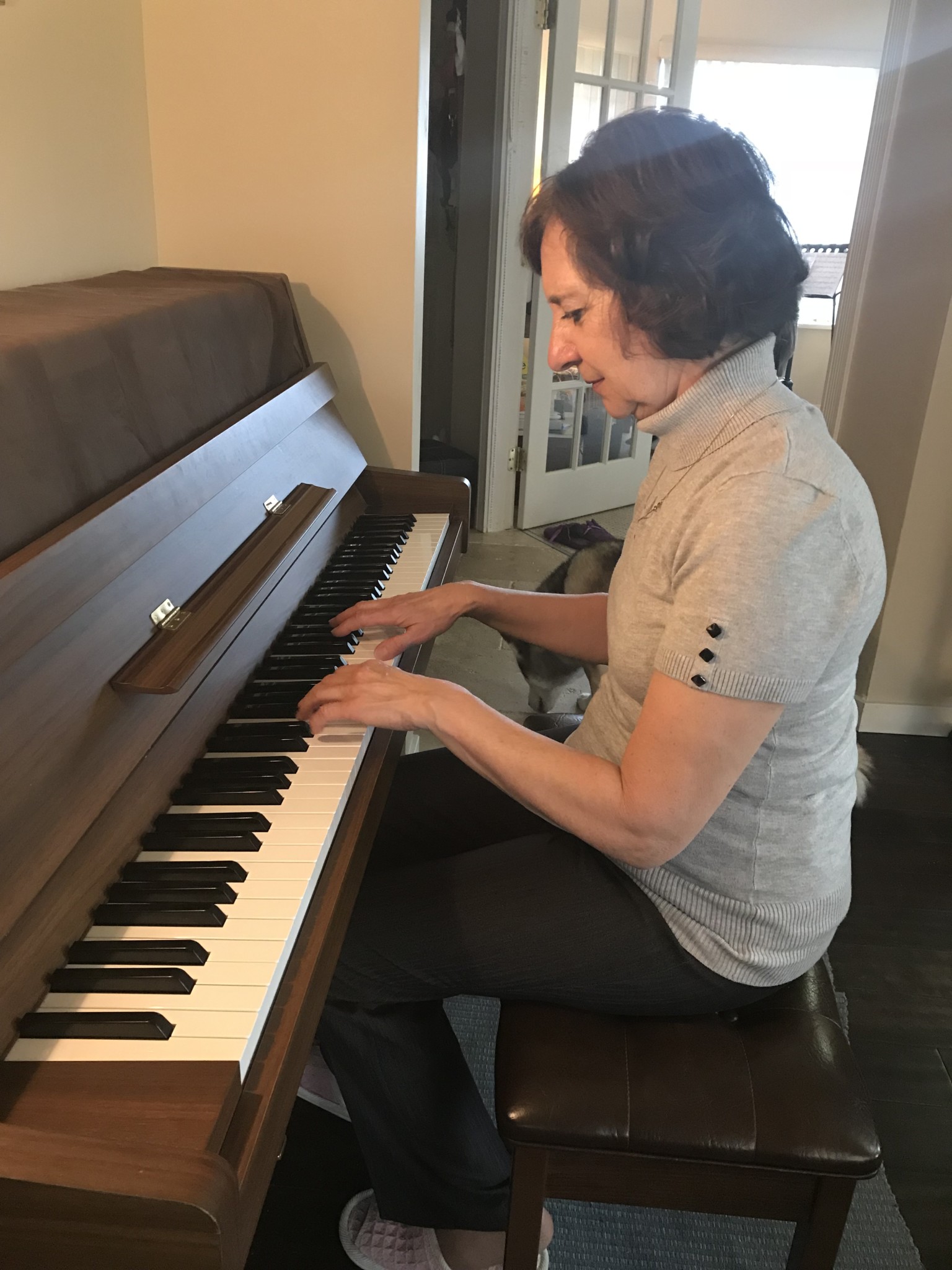 Private Piano Lessons StoryToGo Classroom