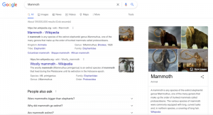 Google search for 'mammoth'.