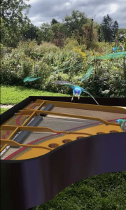 AR birds flying around an augmented reality piano in a real world garden.