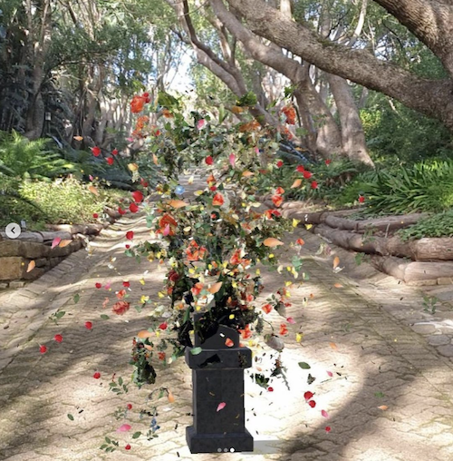 Exploding vase of flowers, as a part of Ori Gersht's Forget Me Not responsive AR art.